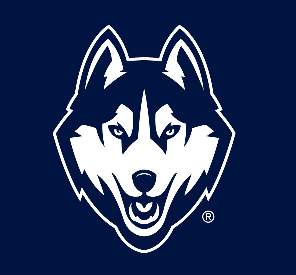UConn Huskies 2013-Pres Partial Logo diy fabric transfer